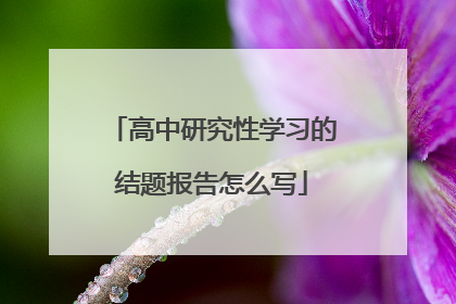 高中研究性学习的结题报告怎么写