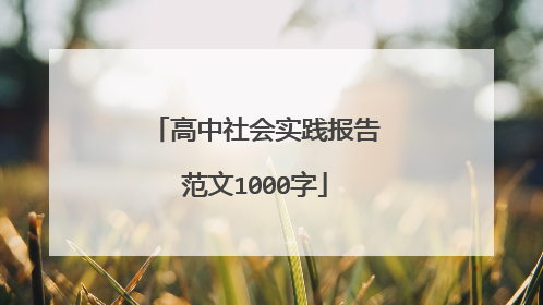 高中社会实践报告范文1000字