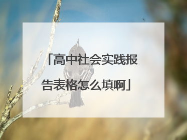 高中社会实践报告表格怎么填啊