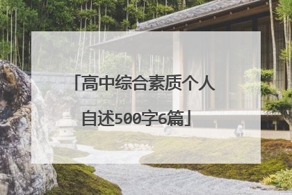 高中综合素质个人自述500字6篇