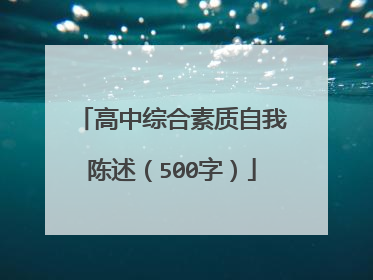 高中综合素质自我陈述（500字）