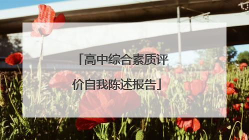 高中综合素质评价自我陈述报告