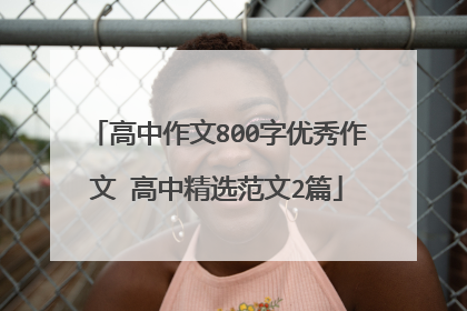 高中作文800字优秀作文 高中精选范文2篇