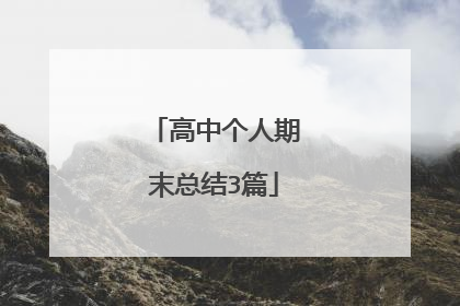高中个人期末总结3篇
