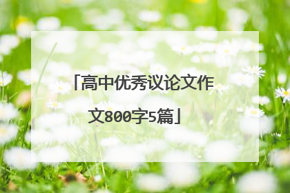 高中优秀议论文作文800字5篇