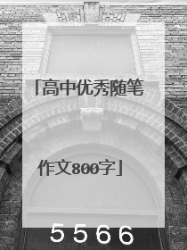 高中优秀随笔作文800字