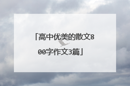 高中优美的散文800字作文3篇