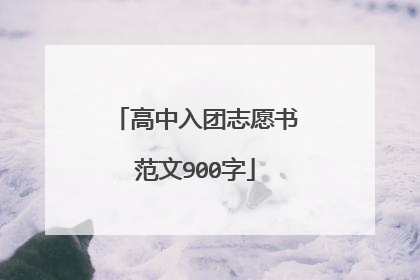 高中入团志愿书范文900字