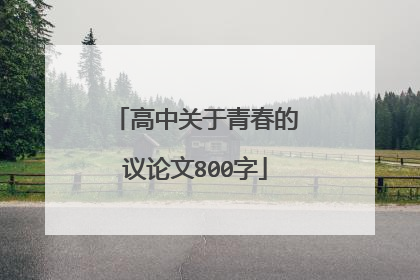 高中关于青春的议论文800字