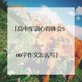 高中军训心得体会500字作文怎么写
