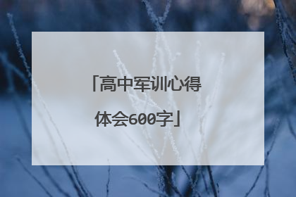 高中军训心得体会600字