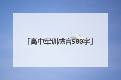 高中军训感言500字