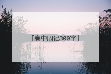 高中周记300字