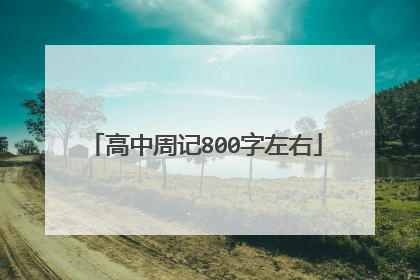 高中周记800字左右