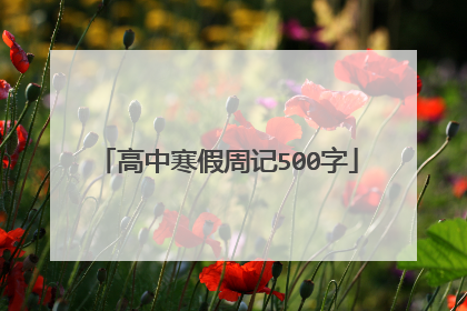 高中寒假周记500字