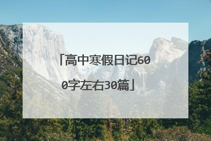 高中寒假日记600字左右30篇