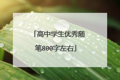 高中学生优秀随笔800字左右