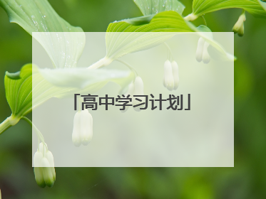 高中学习计划