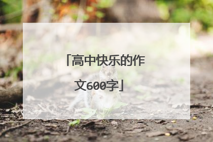 高中快乐的作文600字