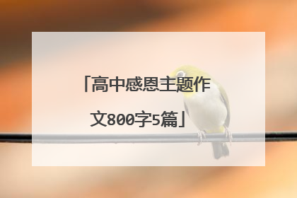 高中感恩主题作文800字5篇