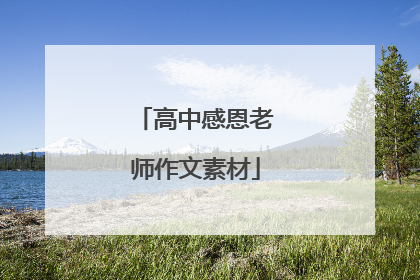 高中感恩老师作文素材