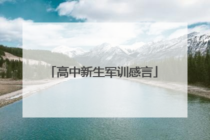 高中新生军训感言