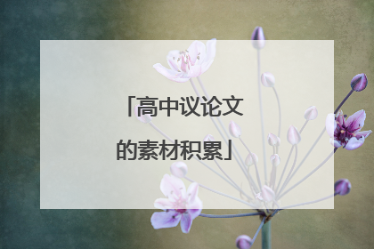 高中议论文的素材积累