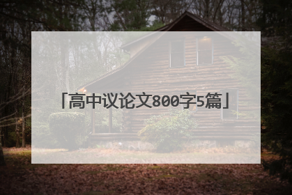 高中议论文800字5篇