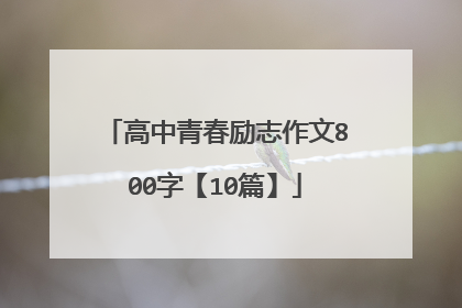 高中青春励志作文800字【10篇】