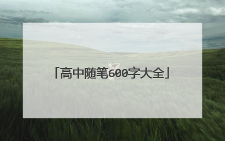 高中随笔600字大全