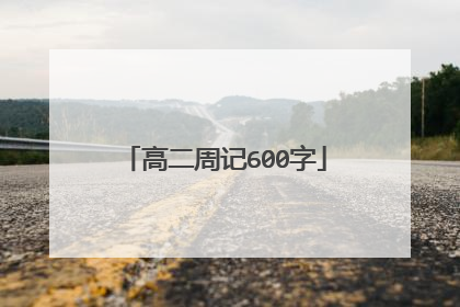 高二周记600字