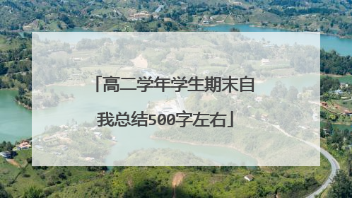 高二学年学生期末自我总结500字左右