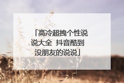高冷超拽个性说说大全 抖音酷到没朋友的说说