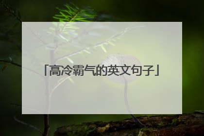 高冷霸气的英文句子