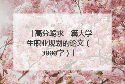 高分跪求一篇大学生职业规划的论文（3000字）