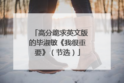 高分跪求英文版的毕淑敏《我很重要》（节选）