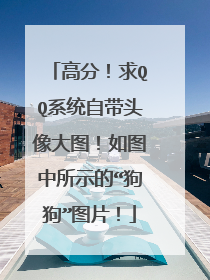 高分!求QQ系统自带头像大图!如图中所示的“狗狗”图片!