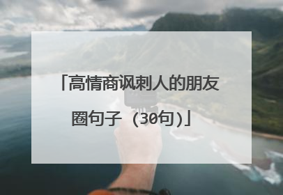 高情商讽刺人的朋友圈句子 (30句)