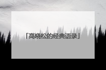 高晓松的经典语录