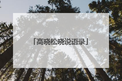 高晓松晓说语录