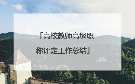 高校教师高级职称评定工作总结