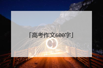 高考作文600字