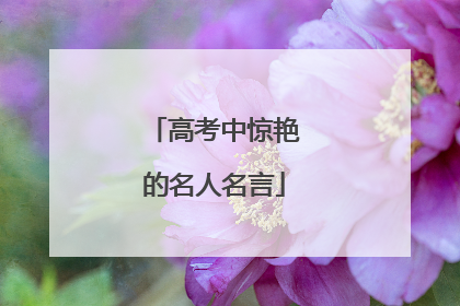 高考中惊艳的名人名言