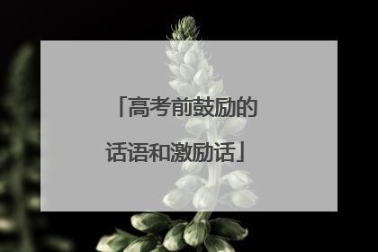 高考前鼓励的话语和激励话