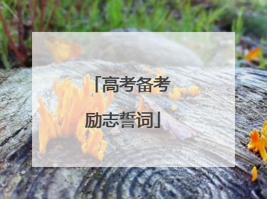 高考备考励志誓词