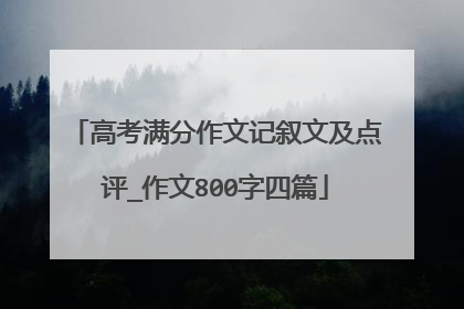 高考满分作文记叙文及点评_作文800字四篇