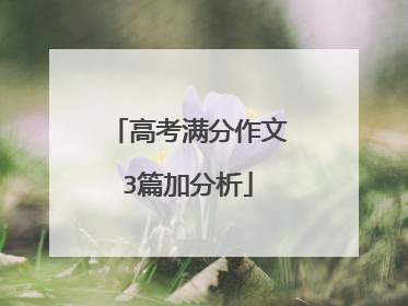 高考满分作文3篇加分析
