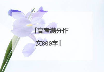 高考满分作文800字