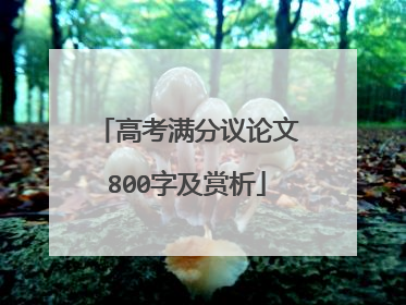 高考满分议论文800字及赏析
