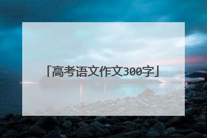 高考语文作文300字